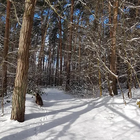 Garten Eden * 卢布明