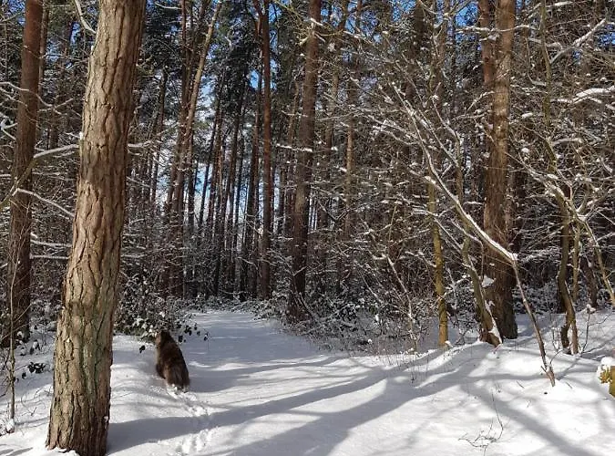 Garten Eden * Lubmin